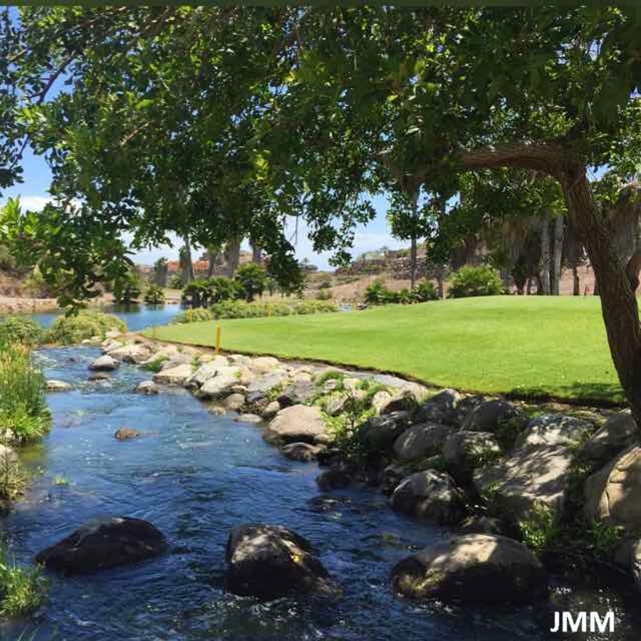 II PUNTUABLE DE PRIMAVERA 2016