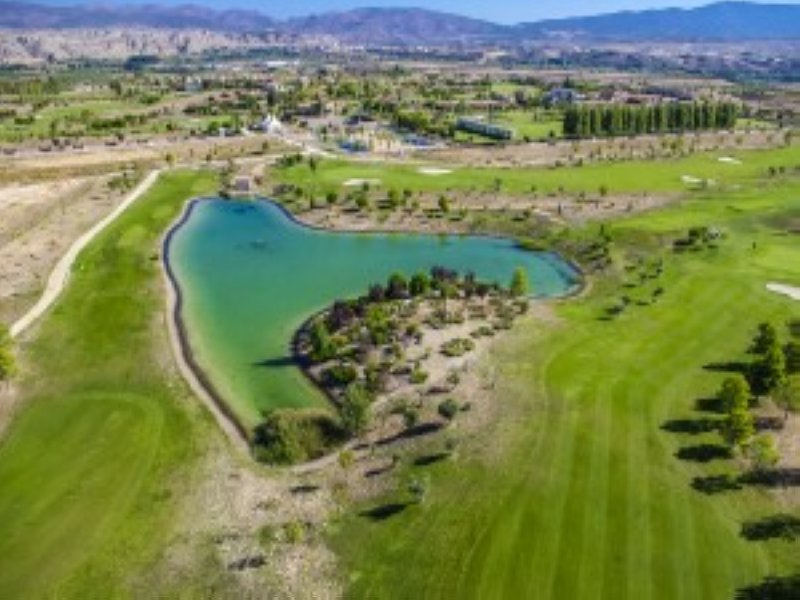 Luis Claverie, mejor jugador canario, en el Signify Campeonato de España de Profesionales Masculino 