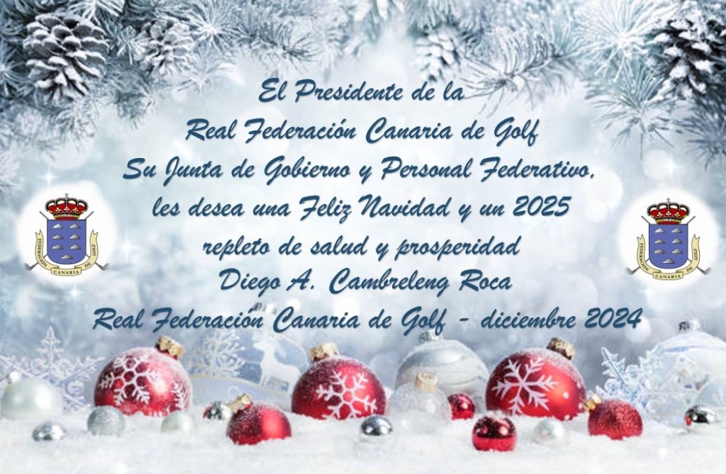 ¡Feliz Navidad y Próspero Año 2025! 